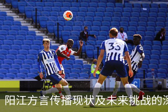 阳江方言传播现状及未来挑战的深度探讨